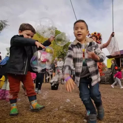 Children playing with giant bubbles