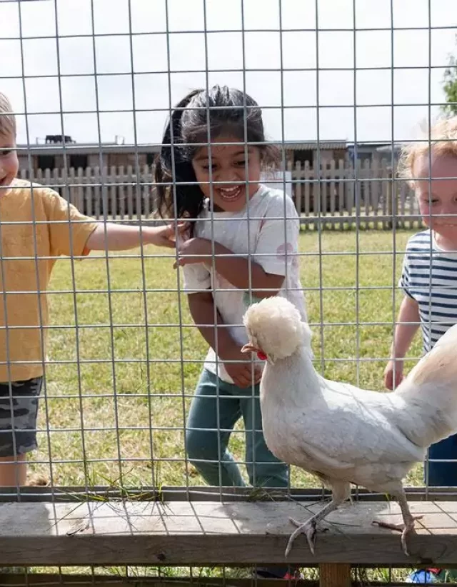 Children meeting chickens at the farm
