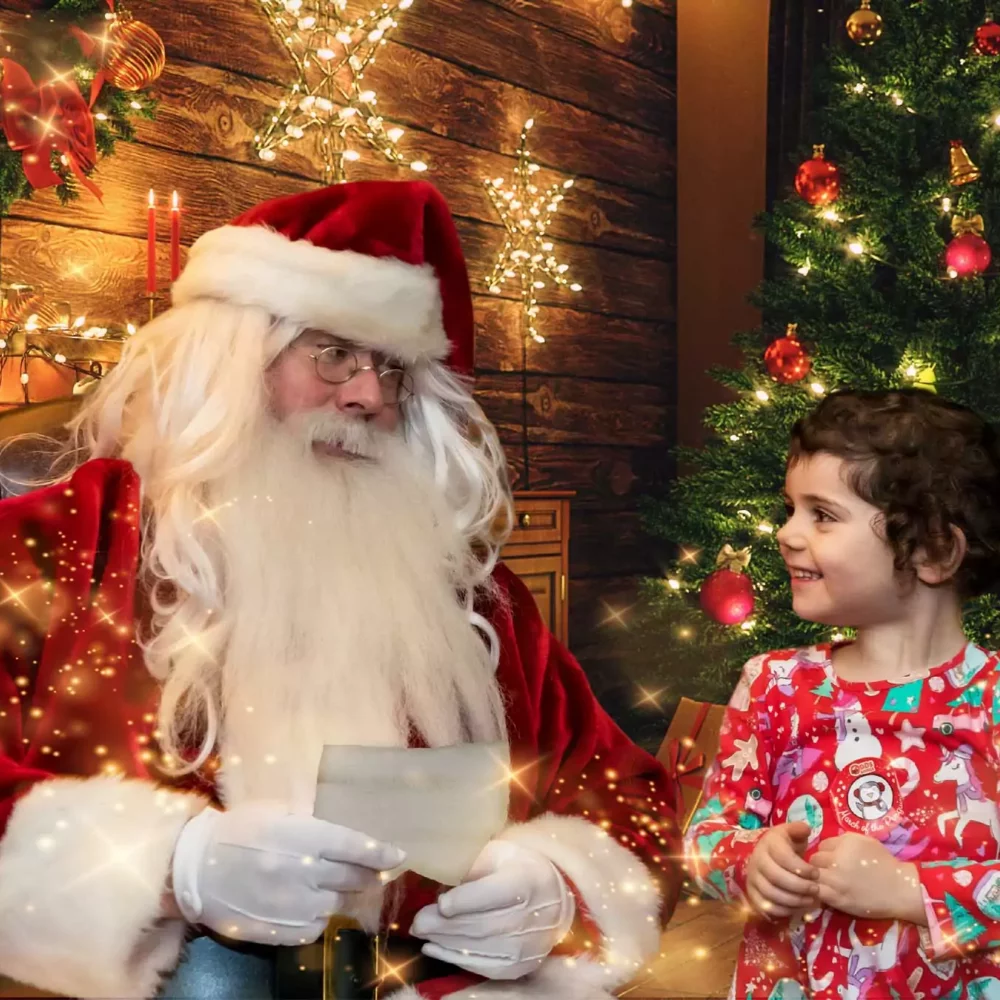 A child meeting Father Christmas in his grotto