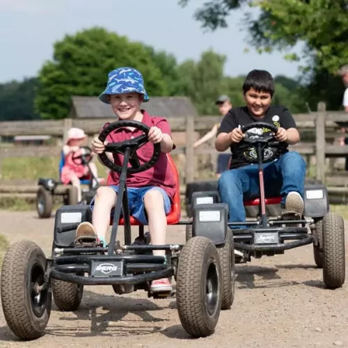 Children riding pedal go-karts