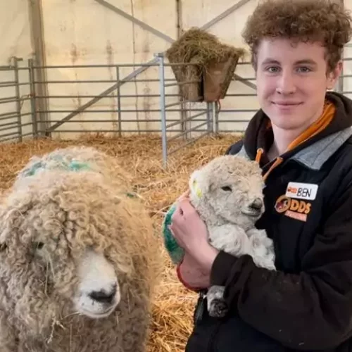 Lambing talks february half term
