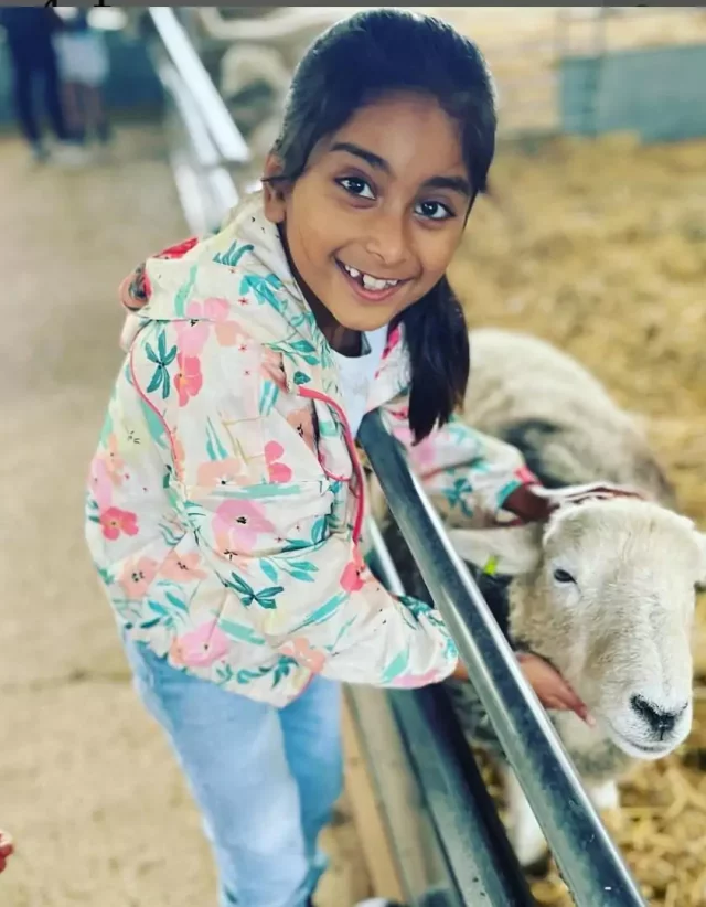 A child feeding goats at Odds Farm Park