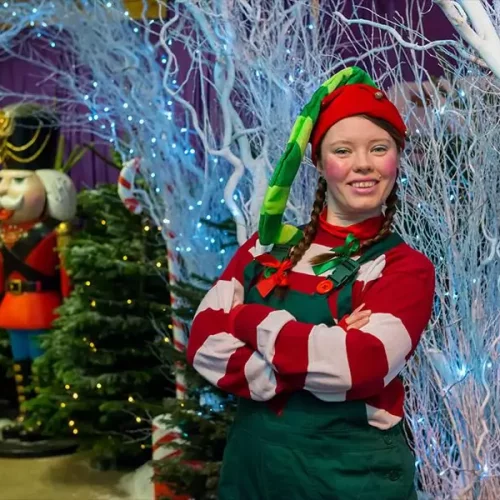 A Christmas elf in the festive forest