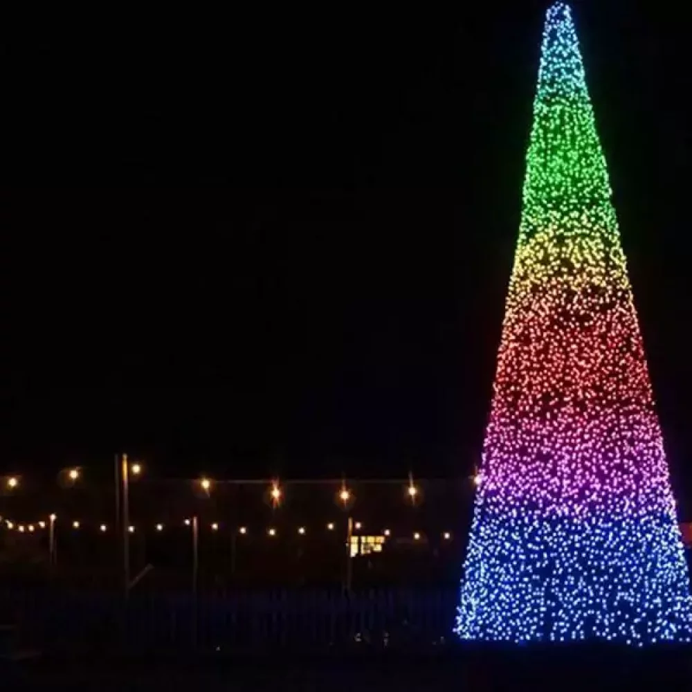 An illuminated Christmas tree at night