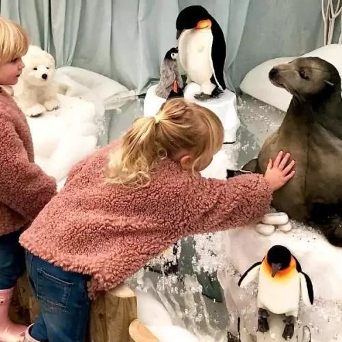 Singing penguins in the Christmas experience