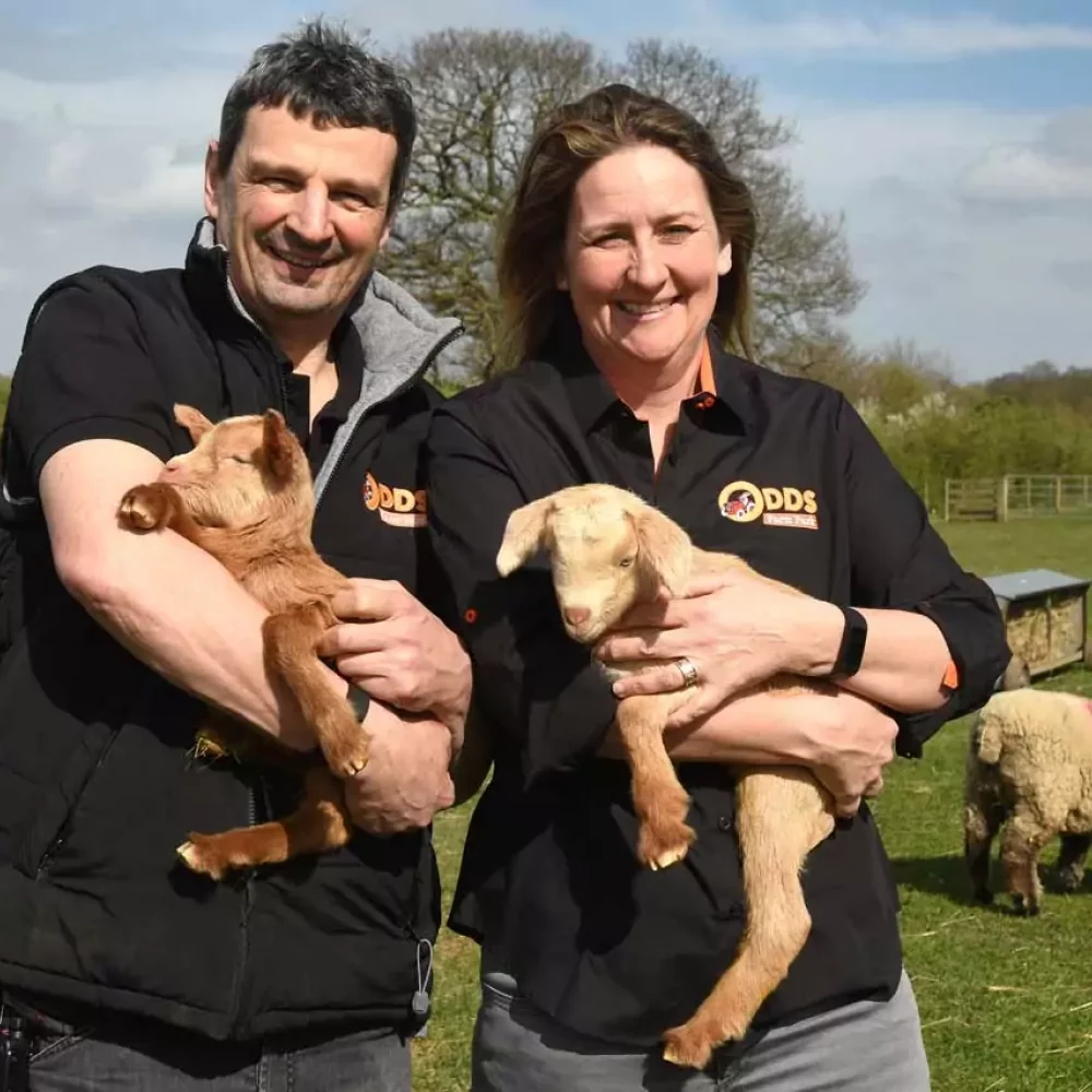 Two people holding rare breed lambs at Odds Farm Park
