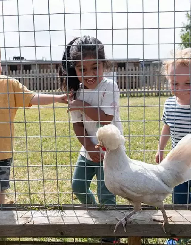 Children meeting chickens in the Animal Barn