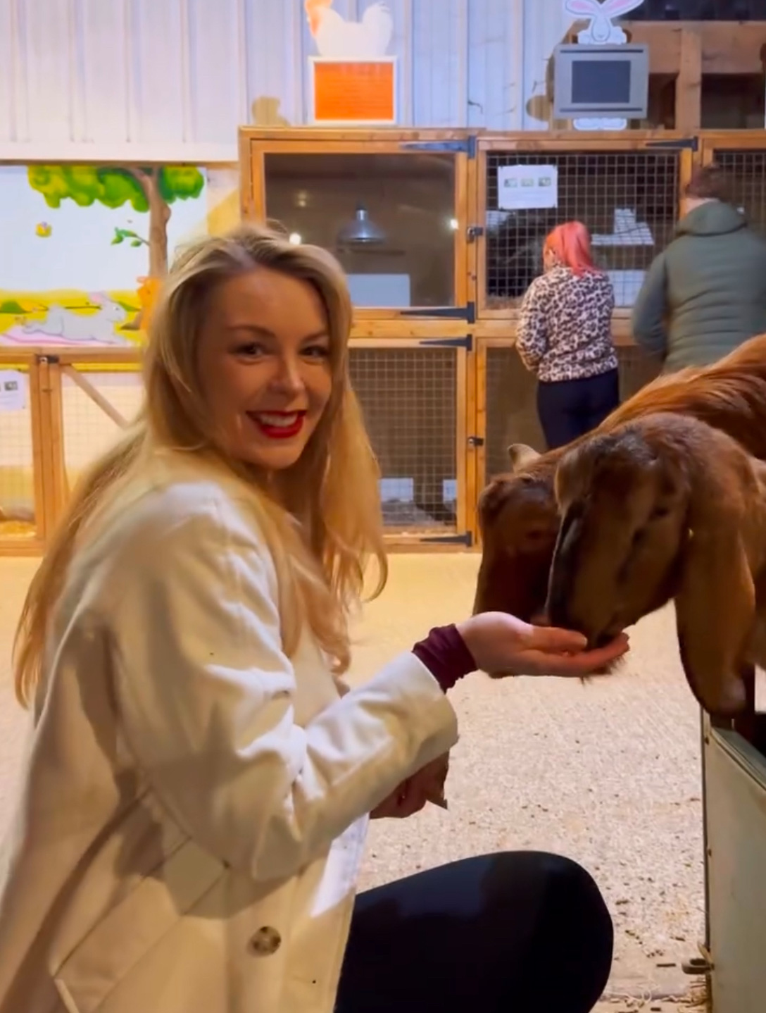 Animal Barn Adult Night
