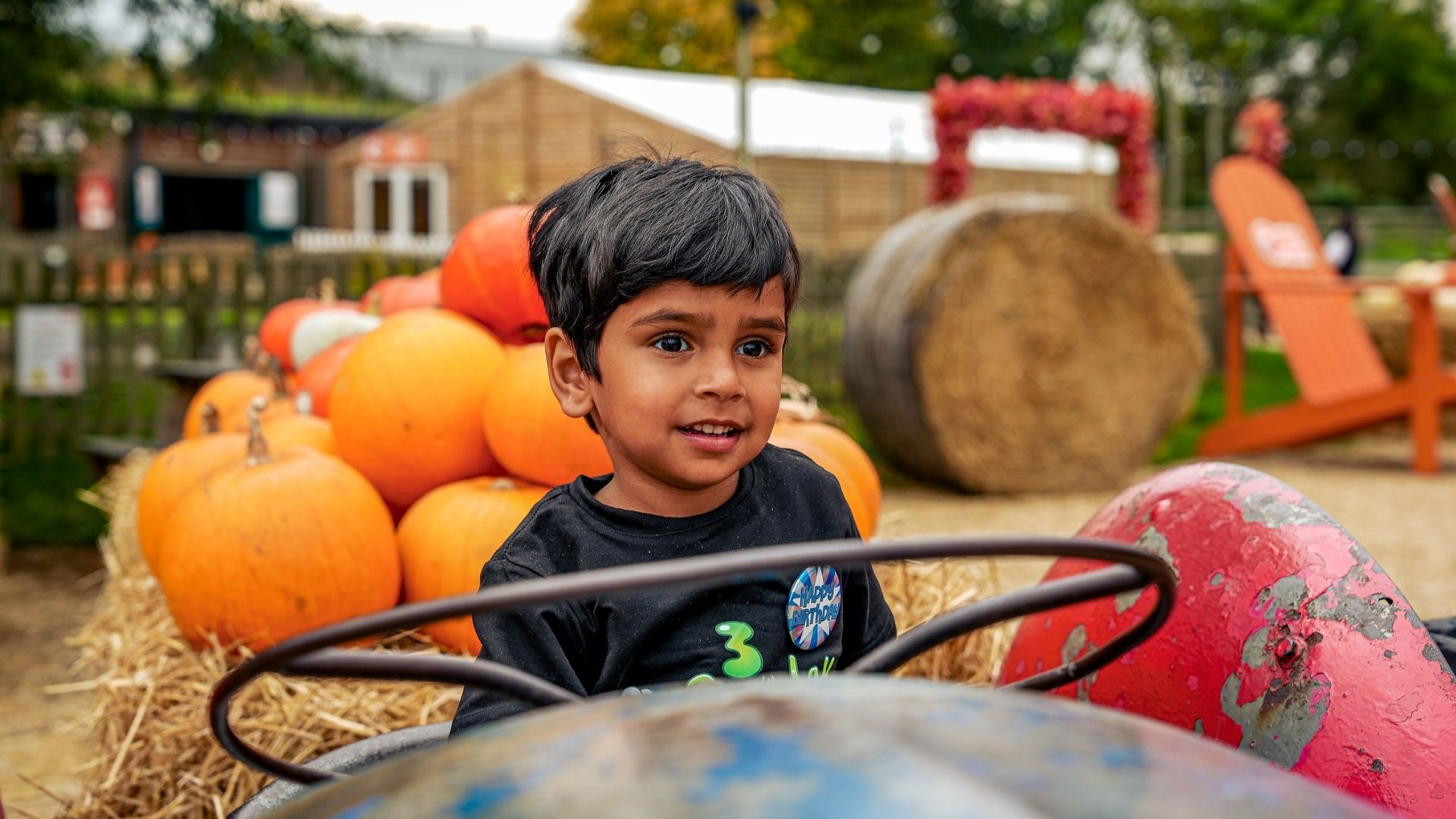 Pumpkin (1)